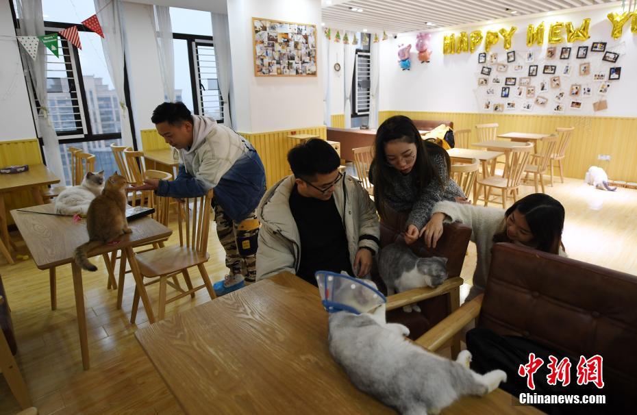 背包英雄传导是什么概念