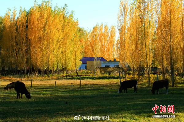 Grounded眼罩怎么升级