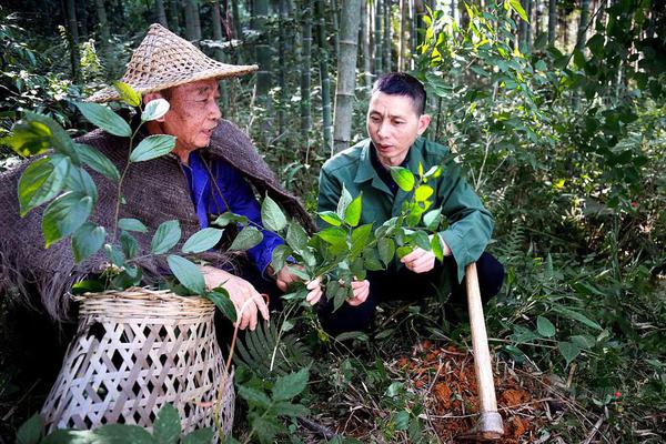 艾尔登法环龙王岩剑怎么用比较好