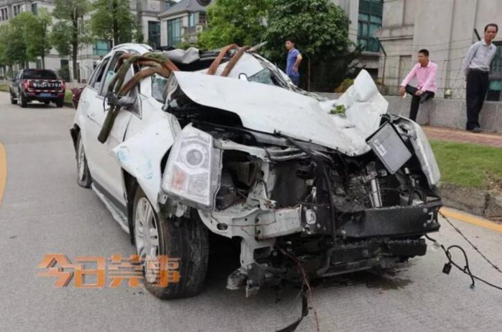 潜水员戴夫海带在哪